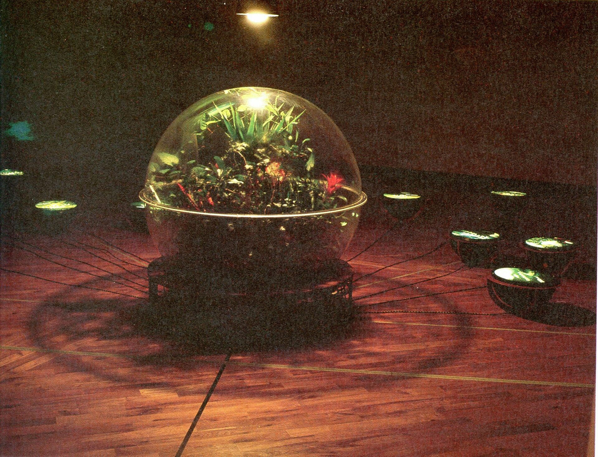 Trophies of Empire (1992): Terra by Edwina Fitzpatrick. Image courtesy of Arnolfini and the artist.